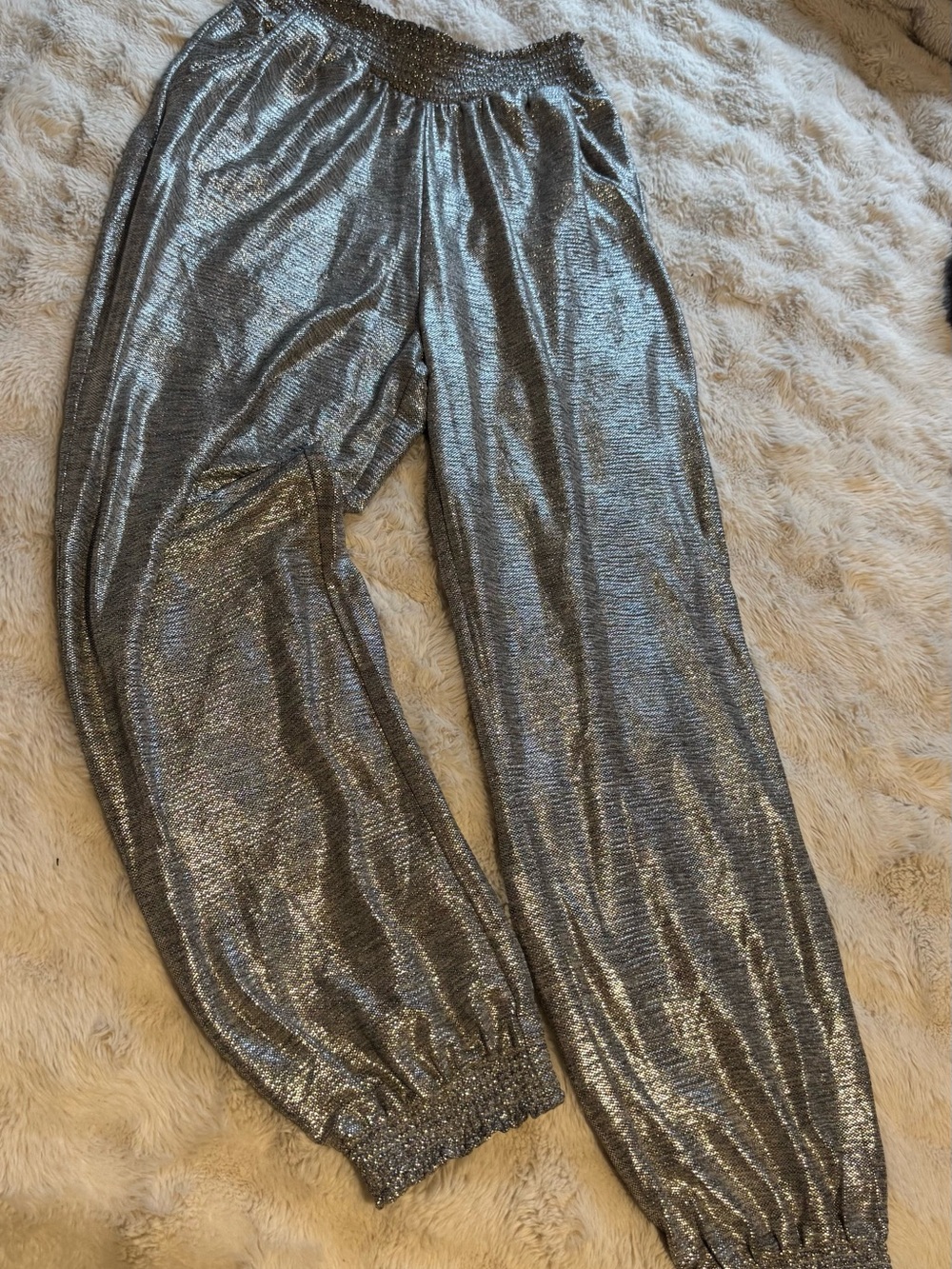 Women’s Anthro Metallic Silver Jogger Pants